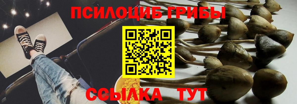 Галлюциногенные грибы MAGIC MUSHROOMS  Вход с VPN  Калининград 
